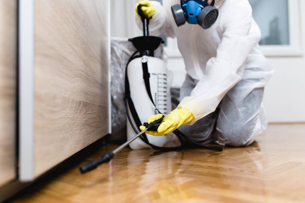 Best Best Pest Control Companies  in Mineral Wells, TX