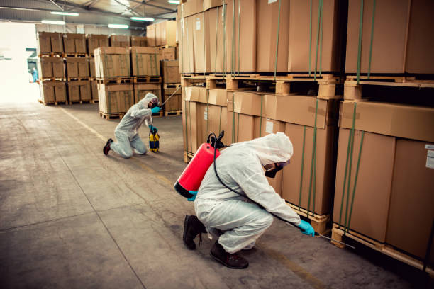 Best Pest Control Near Me  in Mineral Wells, TX