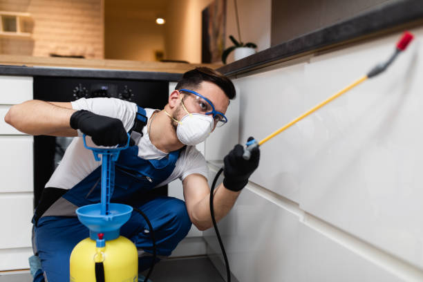 Best Mosquito Control Services  in Mineral Wells, TX