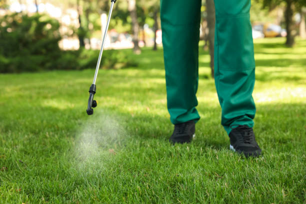 Mineral Wells, TX Pest Control Company