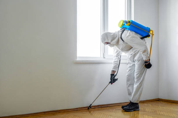 Best Best Pest Control Companies  in Mineral Wells, TX