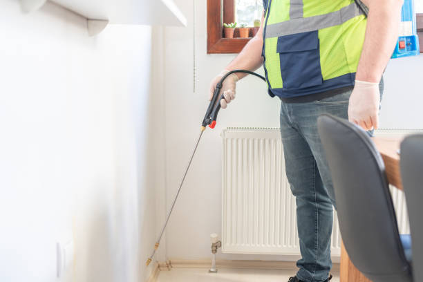 Best Pest Control Near Me  in Mineral Wells, TX