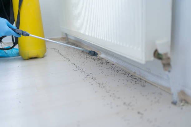 Best Residential Pest Control  in Mineral Wells, TX