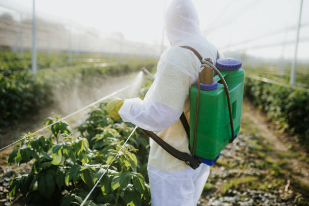 Best Flea Control Services  in Mineral Wells, TX